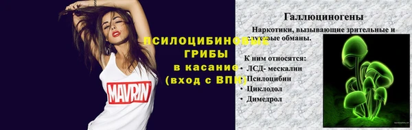 PSILOCYBIN Верхний Тагил