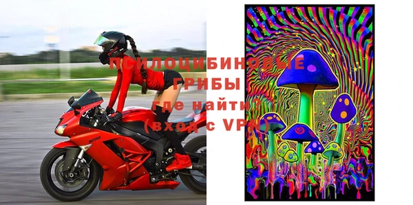 PSILOCYBIN Верхний Тагил
