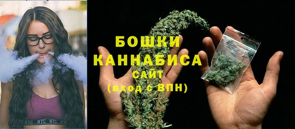 PSILOCYBIN Верхний Тагил
