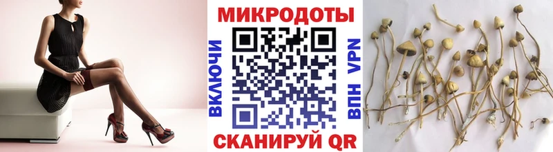 где найти наркотики  Лукоянов  Галлюциногенные грибы мухоморы 